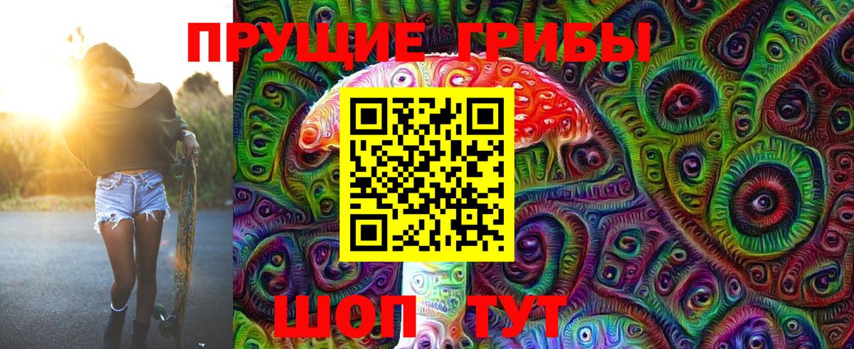 Псилоцибиновые грибы Psilocybe Сызрань